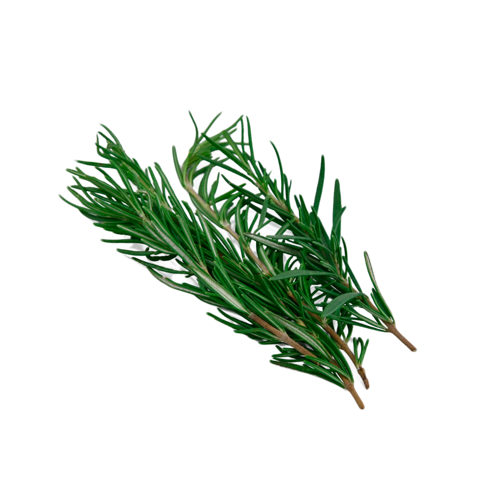 Home - Restaurant Auszeit Bad Gandersheim Home - Restaurant Auszeit Bad Gandersheim